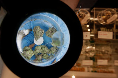 Exotic Dreams DC: Top Cannabis Dispensary & Delivery.jpg