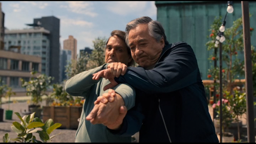 vlcsnap 2025 07 08 18h42m02s486.png