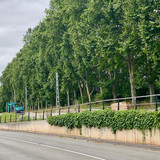 IMG 20250709 WA0023