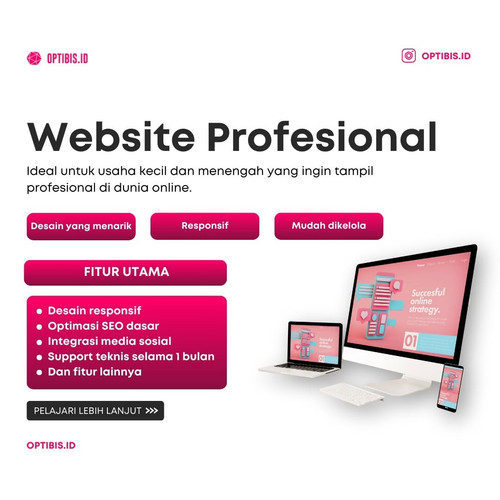 Website Profesional.jpg
