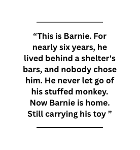 Screen Shot 2025 07 09 at 10.05.04.png