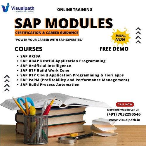 Master SAP Skills with Visualpath – Learn Anytime,.jpg