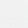 paisley white 100 002 043 sw sq icon.jpg