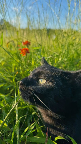 515542610 122176406582354161 7187738625850898608 n.jpg