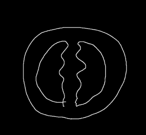 paintdotnet wc0DmooruQ.png