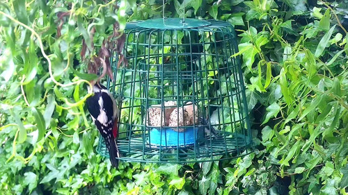 TSC1RnNCF J0aaaC.jpg