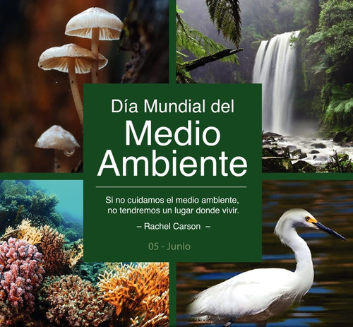 MEdio ambiente.jpg
