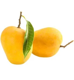mango.webp