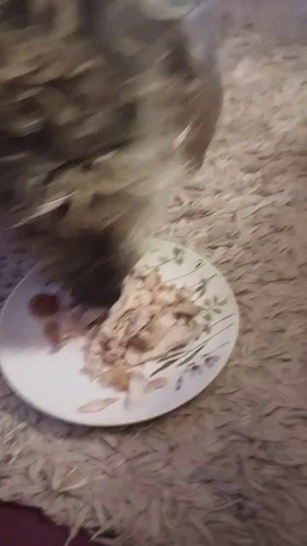 cEZ7z0rVh9NEBqk8.jpg