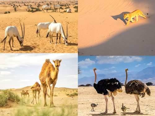 ' Glorified is The  All-Mighty Creator '.jpg