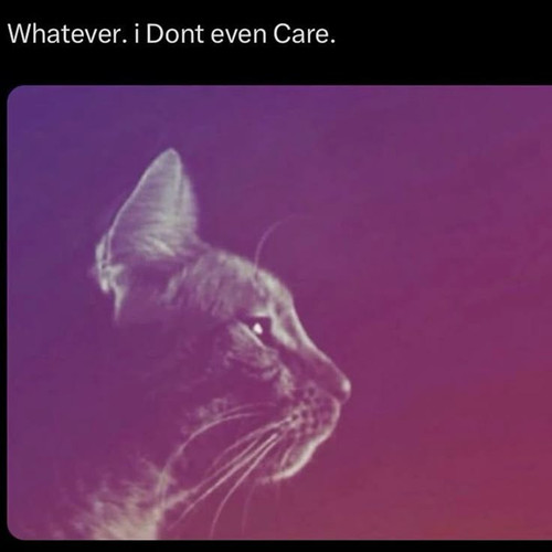 a60877f4c504988a4b50d880a0df6e22.1