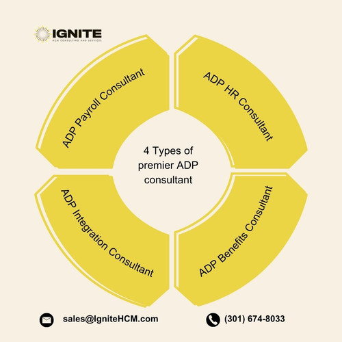 4 Types of premier ADP consultant.jpg