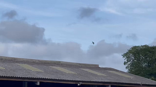 43Ros8hgf ovk8md.1