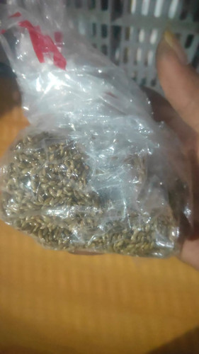 WhatsApp Image 2025 06 06 at 03.41.40.jpg