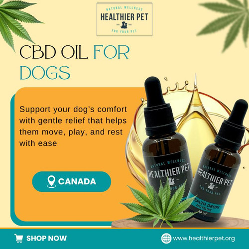 CBD Oil For Dogs In Canada.jpg