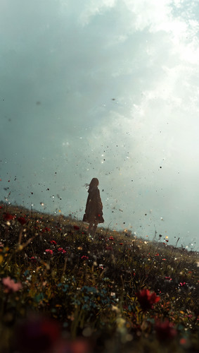 Leonardo Anime XL detailed 2 (4).jpg