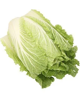 cabbage.webp