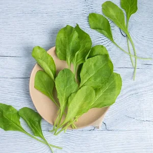 spinach.webp