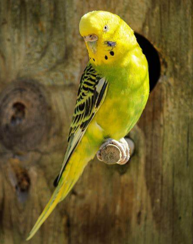 Screenshot 2025 06 06 145110.png