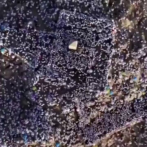 SAQYAIx1WbrDiKWY.jpg