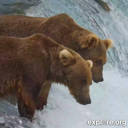 0CB66y5HHf4FB379.jpg