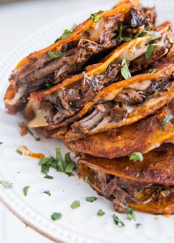 crock pot birria tacos 1.jpg