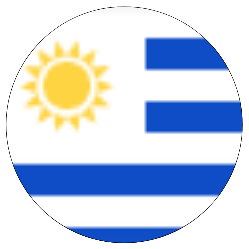 Design sem nome (6) (1).png