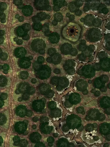 Floresta generica 5.webp