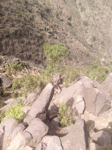 IMG 20250603 093727 005.jpg