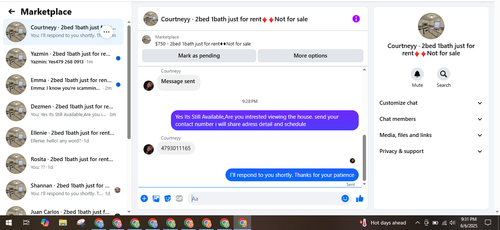 31.png