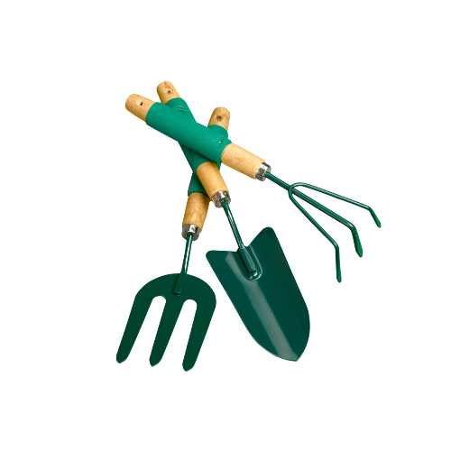 1000278476.png