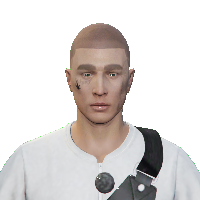 17e2a2d44711.png