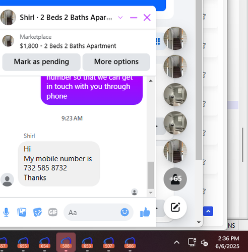Shirl.png