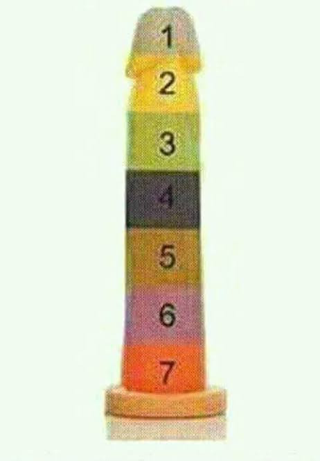1000053554.jpg