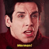 IMG 3443.gif