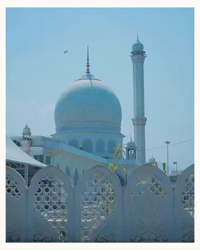 saDhwwj5hb789FOu.jpg