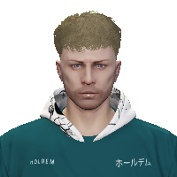 f9c432c0050f.png