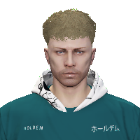 a1d5d9761345.png
