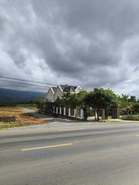 504387772 3110761579101427 7722490316283650126 n.jpg