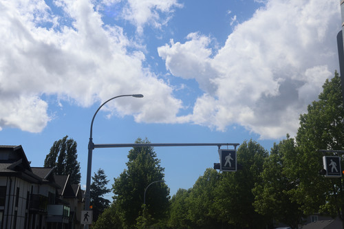 IMG 0535.jpg