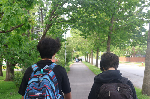 IMG 0575.jpg