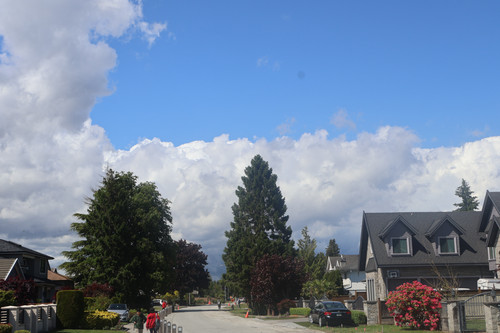 IMG 0537.jpg