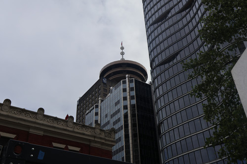 IMG 0610.jpg
