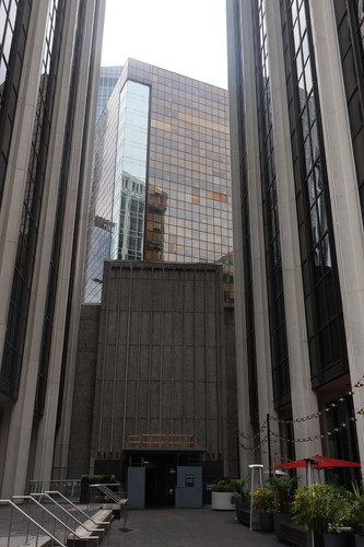 IMG 0650.jpg