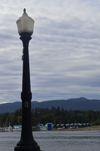 IMG 0779.jpg