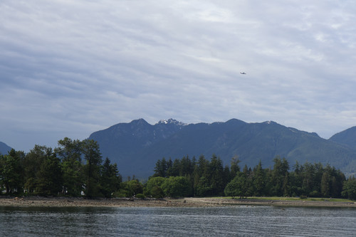 IMG 0775.jpg