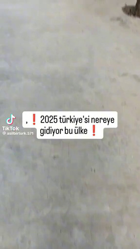 M7N6WZ0PBM X9kj8.jpg