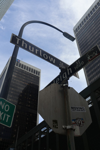 IMG 0689.jpg