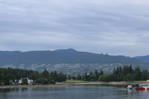 IMG 0719.jpg