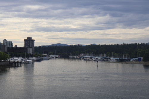 IMG 0710.jpg